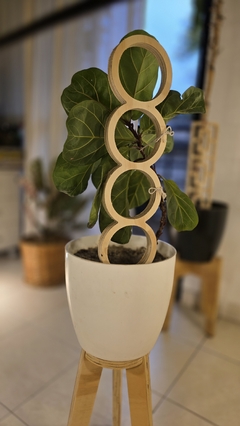 Tutores para plantas - comprar online