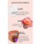 Shave Oil Tree Hut- Moroccan Rose 227ml - loja online