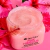 Esfoliante Tree Hut- Pink Hibiscus 510g na internet