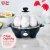 Dash Rise Egg Cooker (Eletrica de cozinhar ovos) - comprar online