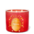 PRÉ VENDA vela aromática Moana