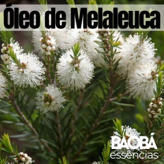 Óleo Vegetal de Melaleuca