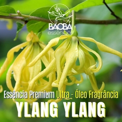 Essência Premium YLANG YLANG - ÓLEO FRAGRÂNCIA