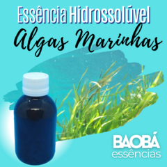 Essência Premium ALGAS MARINHAS - HIDROSSOLÚVEL