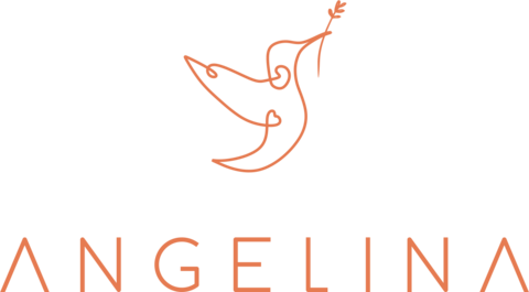 Angelina moda feminina