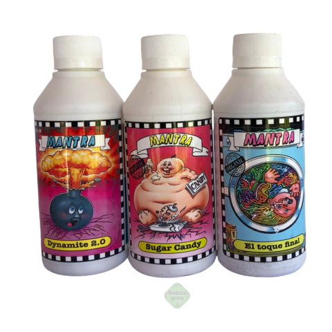 Tripack Floracion Mantra 250 ml