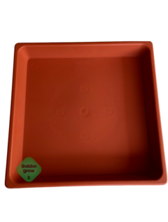MATRI Platos Bandeja 22 x 22cm - GABBA GROW
