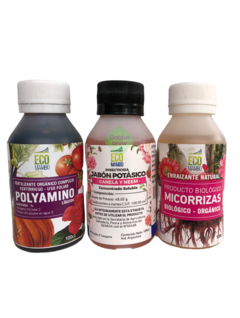 Combo Eco Mambo Micorrizas + Jabon Potasico + polyamino 100ml