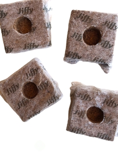 Jiffy Fibra De Coco 4 x 4cm Growblock 10 Unidades