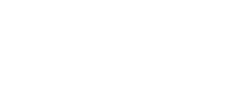 ORIGAMISHOES