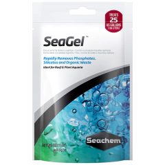 Seagel