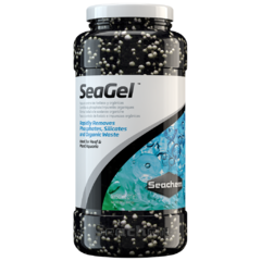 Seagel na internet