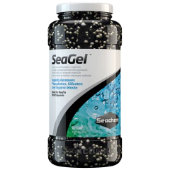 Seagel na internet