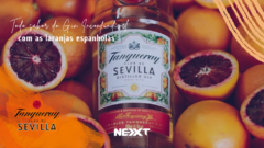 Banner da categoria Gin 