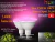 Philips Hue White & Color Ambiance PAR38 100W Spot Refletor Jardim Outdoor - buy online