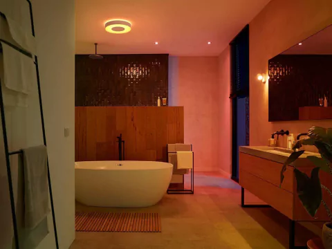 Philips Hue White & Color Ambiance Xamento Large l Bathroom Smart Ceiling l Luminária de Teto Inteligente Grande l Feita para Banheiros l A Prova D' Água l WiFi e Bluetooth l Alto Fluxo Luminoso 3.700 lumen l LED Integrado l Compatível com Alexa, Apple Homekit & Google Assistant l Requer Hue™ Bridge - Loja do Jangão - InterBros