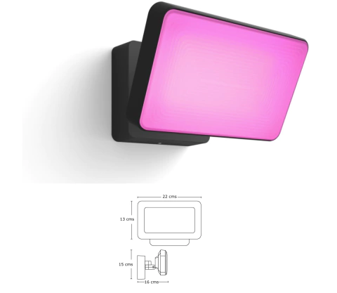 Philips Hue Discover Outdoor Floodlight l Luminária de Parede l Projetor de Segurança l Poderoso Fluxo Luminoso 2.300 lumen l LED Integrado l Compatível com a Alexa, Apple Homekit & Google Assistant | Requer Hue Bridge en internet
