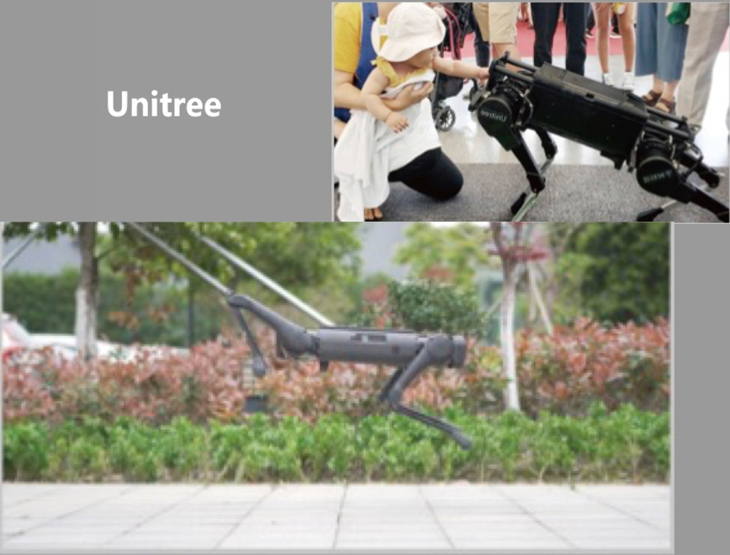 UNITREE AlienGo , High-Performance Quadruped Robot na internet