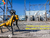 Boston Dynamics Spot - loja online