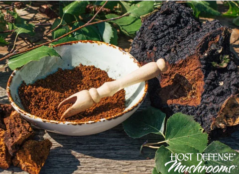 Host Defense Cogumelo Chaga Antioxidante e Suporte de DNA 120 cápsulas