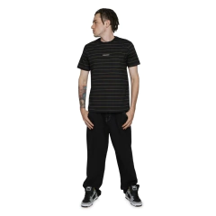 Camiseta Listrada DC Shoes Lowstate Stripe