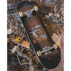 Shape Tropicalients Renato Souza Master 8.1"