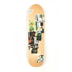Shape Agacê Maple 8.2" Old School Biazzoto