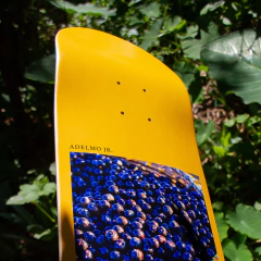 SHAPE PLURAL MAPLE 8.5" ADELMO NATURE - Cena Skate Shop