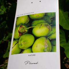 SHAPE PLURAL MAPLE 8.2" VICTOR SUSSEKIND NATURE na internet