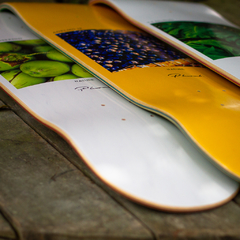 SHAPE PLURAL MAPLE 8.1" FABIO CRISTIANO NATURE - loja online