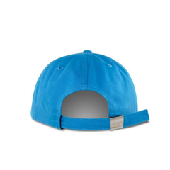 Boné Magenta 6 Panel Plant Blue skate