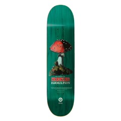 Shape Maple 8.38" Primitive Spencer Hamilton - Red Cap