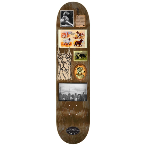 Shape Future Maple 8.1" Gordo x Matriz Collab III