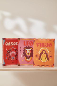 Livro Caixa Cancer na internet