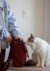 Mochila Ceci Vermelha - comprar online
