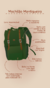 Mochilão Mantiqueira verde oliva - Borná Acessórios | Bolsas, Mochilas, Malas e Tiracolos