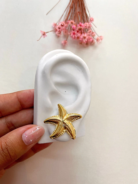 Brinco estrela do mar médio