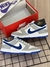 TENIS NIKE DUNK LOW PRO na internet