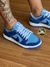 TENIS NIKE DUNK LOW PRO na internet