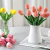 Ramo de Tulipanes x 7 Flores