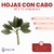 Hojas con cabo A1 x 72 unidades - tienda online