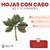 Hojas con cabo A2 x 72 unidades - tienda online