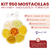 Kit 950 Mostacillas 4mm + Tanza Elastica - Forma Flor - comprar online