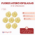 Flores Aterciopeladas x 12 unidades - tienda online