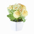 Maceta Cactus Nro 3 - tienda online