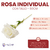 Rosa Individual Con Tallo 50 cm - tienda online