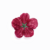 Imagen de Flores de Tela Tipo C x unidad