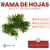 Rama de Hojas Artificiales Sauce 65cm - CandyCraft
