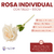 Rosa Individual Con Tallo 50 cm - CandyCraft Souvenirs en Once