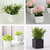 Maceta Cactus N4 - CandyCraft Souvenirs en Once